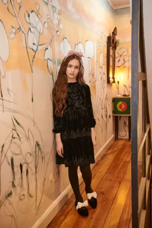 Black Velvet Embroidery Dress