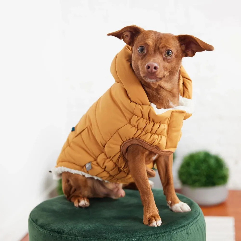 Super Puff Parka in Yellow