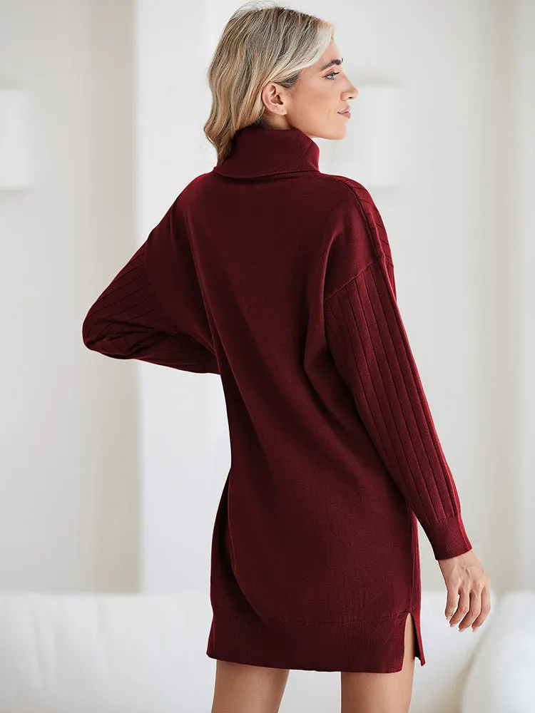 Women's Turtleneck Button Down Sweater Dress Long Sleeve Ribbed Knit Mini Dress Outfits